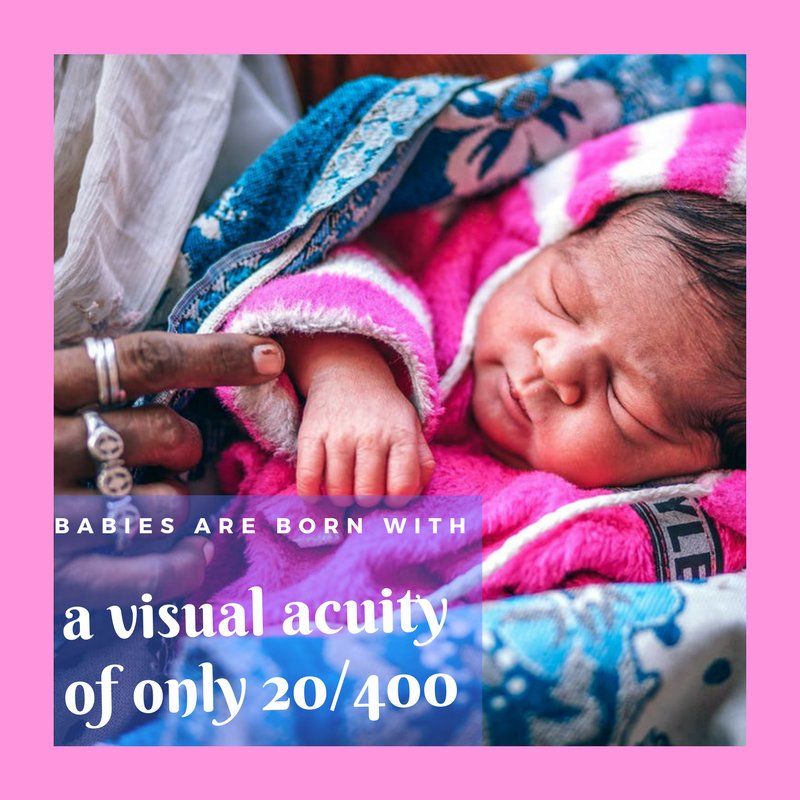 Preston Optometry tweet media