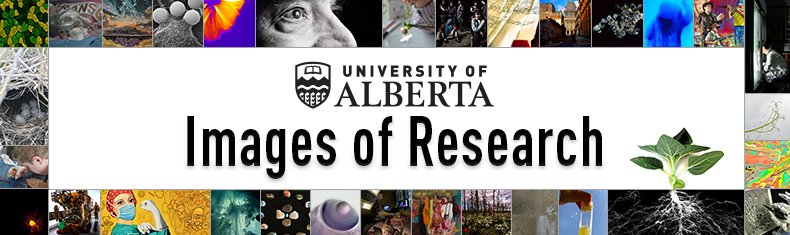 UAlbertaArts's tweet photo. Was the essence of their research captured in one image? You be the judge! People's Choice voting for #UAlberta's Images of Research Competition is now open (March 14-21). Over 60 images to choose from! https://t.co/eucH4jv2ds #ualbertaIOR #ualberta https://t.co/sxEFmS0MSt