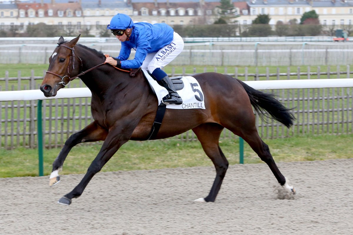 AgaKhanStuds's tweet photo. Rashke, a son of @ArrowfieldStud #RedoutesChoice, wins by 3 ½ lengths on debut at @fgchantilly today. Bred and owned by @godolphin, this 3yo is entered
in the Gr.1 Poule d'Essai des Poulains and Gr.1 Prix du Jockey Club.
#Promising3yo https://t.co/keCqRsOw78