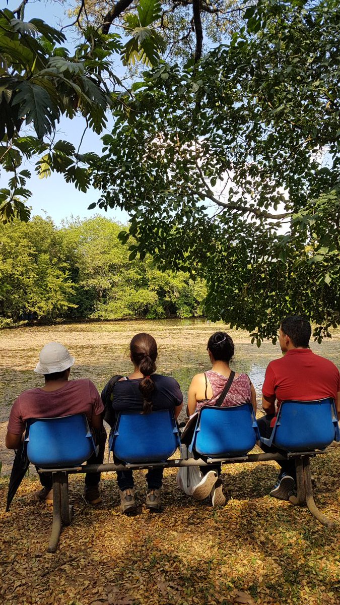 dolardemar's tweet photo. An excellent afternoon identifying #ecosystemservices that @UnivalleCol urban forests provide @UVsocioeconomia #integratedvaluation #ecologicaleconomics #valuepluralism https://t.co/vr2zLcpkjo