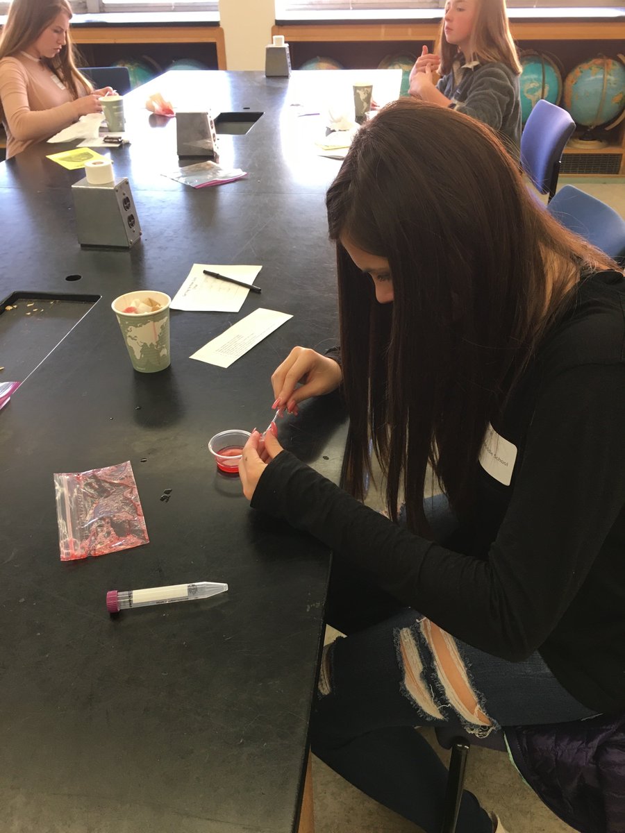 STEM_Spencer's tweet photo. Lots going on at WISE today! @STEM_LMS https://t.co/e2XzhyzW2X