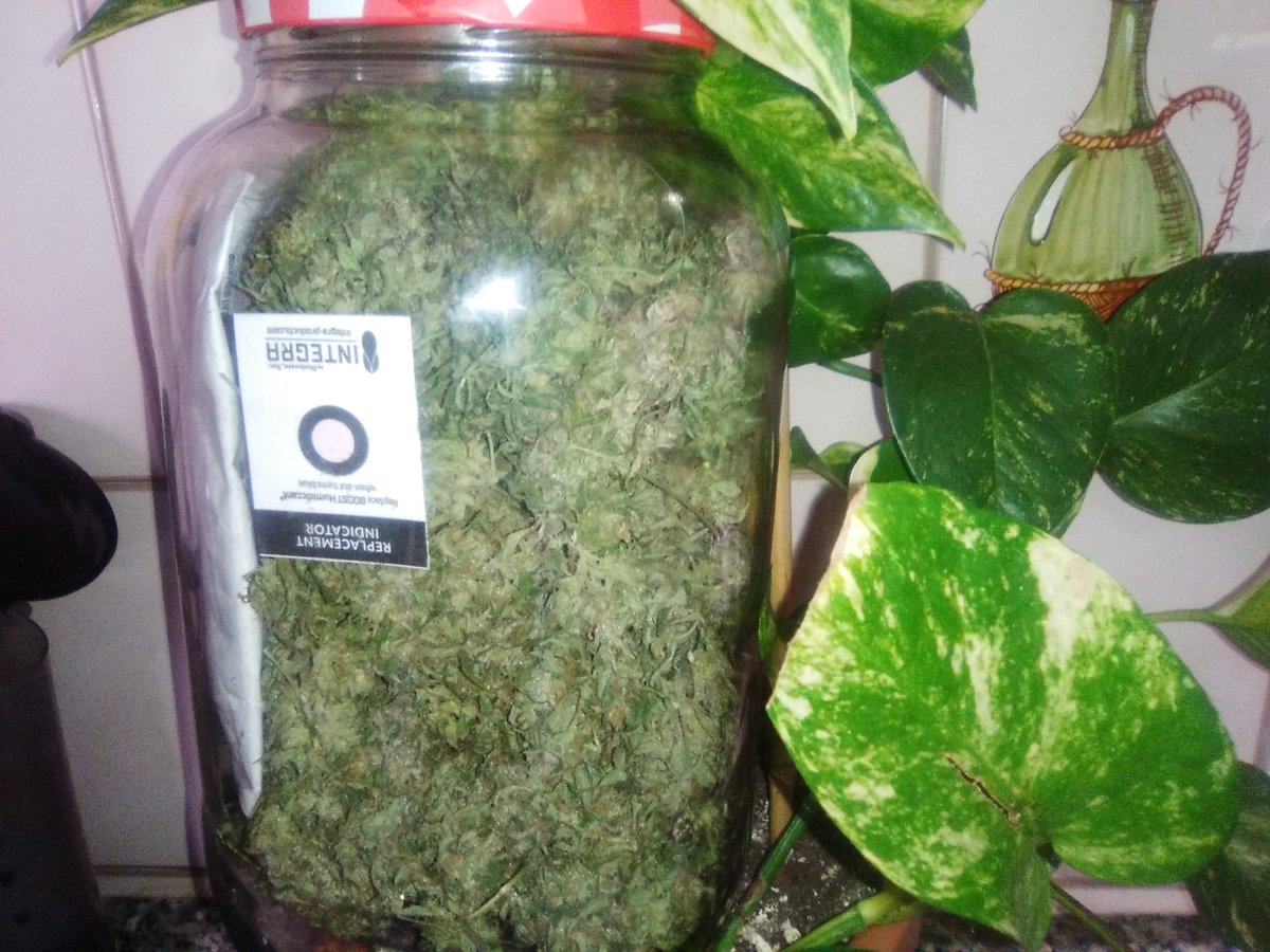 SpanishBreeder's tweet image. 🔝⚛️ #PanamaxDestroyer &amp;amp; @IntegraProducts  ☯️☮️
Perfecta combinación