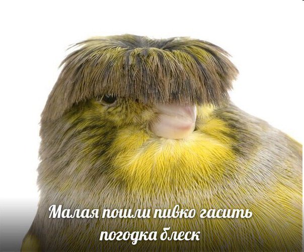 DYW0LlrWAAEnni6.jpg