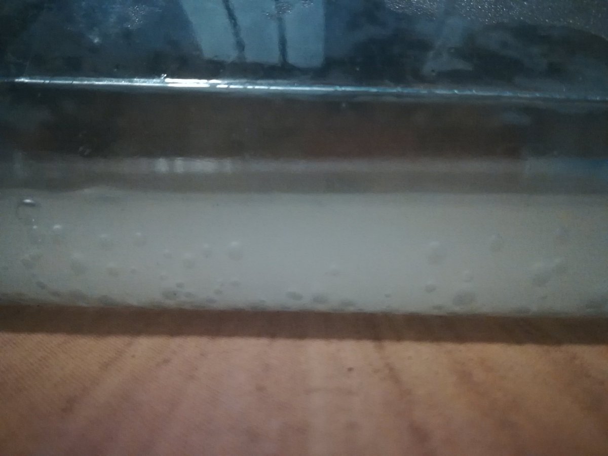 #DDC18_3 evaluación de materiales curriculares.. Probando una práctica de laboratorio en casa 😂