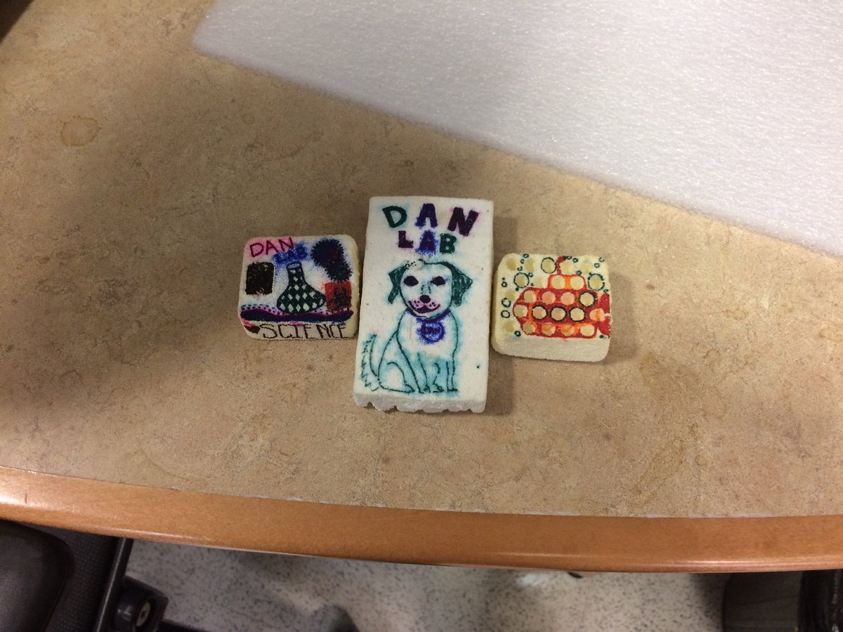 klveldkamp's tweet photo. When your lab manager tells you that foam tube racks are basically Shrinky Dinks (same table for scale). #DANlab #scienceart #gradschool #shrinkydinks
@UWMadisonMDTP https://t.co/Yf6PxFNEAl