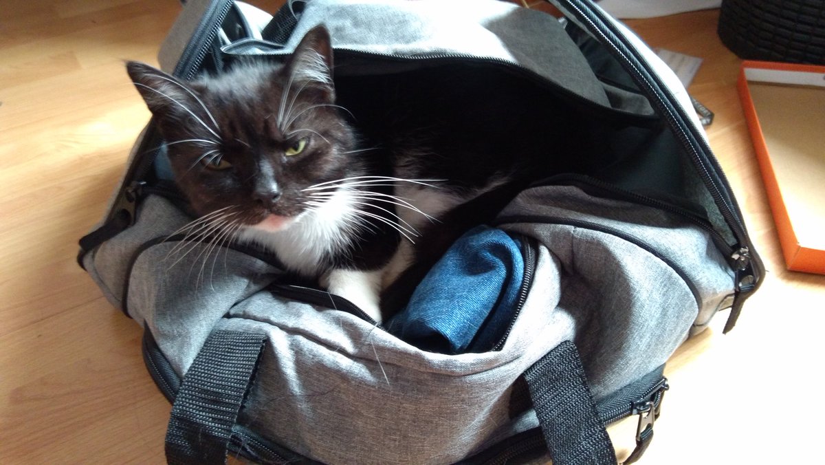 KamilKolinski's tweet photo. @LIRIK She's traveling with me https://t.co/KBfU4Zlywm