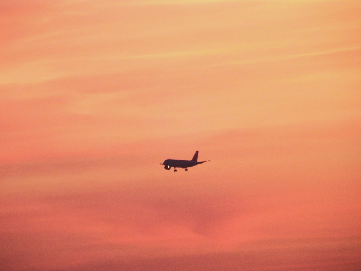 coldcig's tweet image. j'ai (enfin) créé une galerie de mes photos grâce à mes talents en website proches du néant.

pour ceux que ça intéresse, voici le lien 

coldcig.wordpress.com/blog/