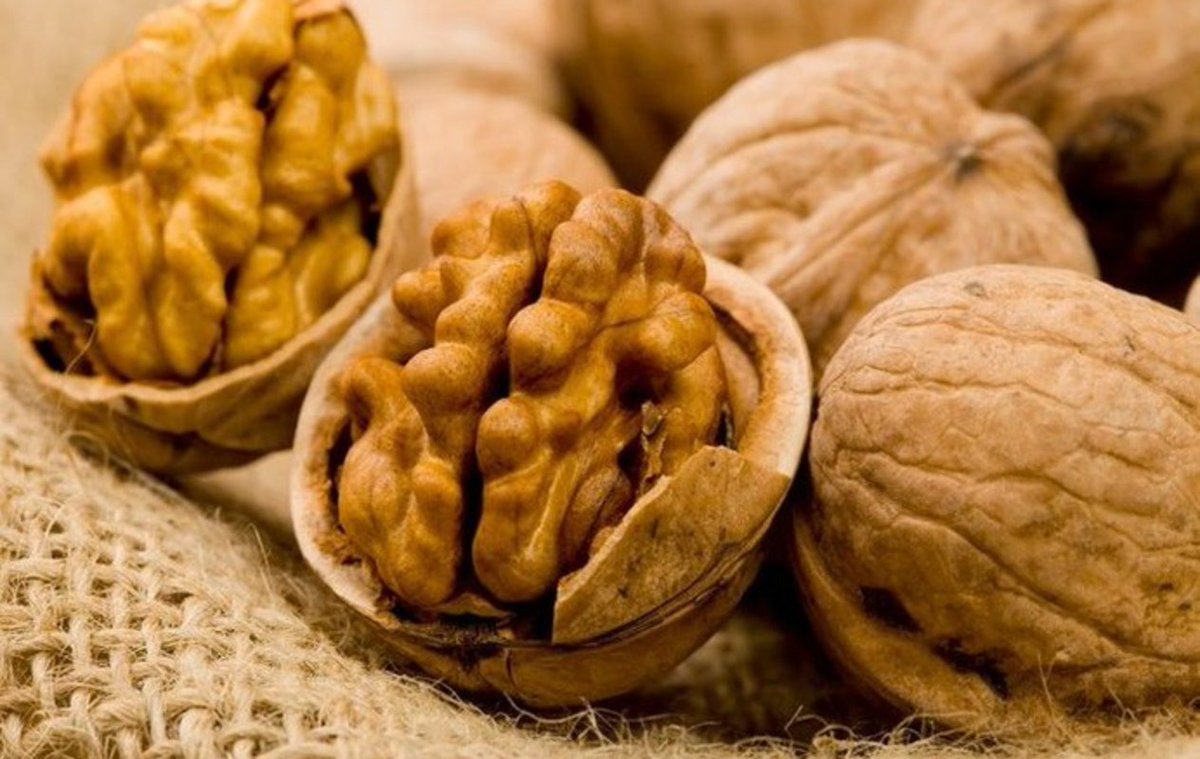 jvriochoapa's tweet photo. Capacitan a productores de nueces gracias a Programa “PDP Choapa Walnuts” https://t.co/BVTjfDgozt @NuecesC @Corfo https://t.co/V0Tde3q8mM