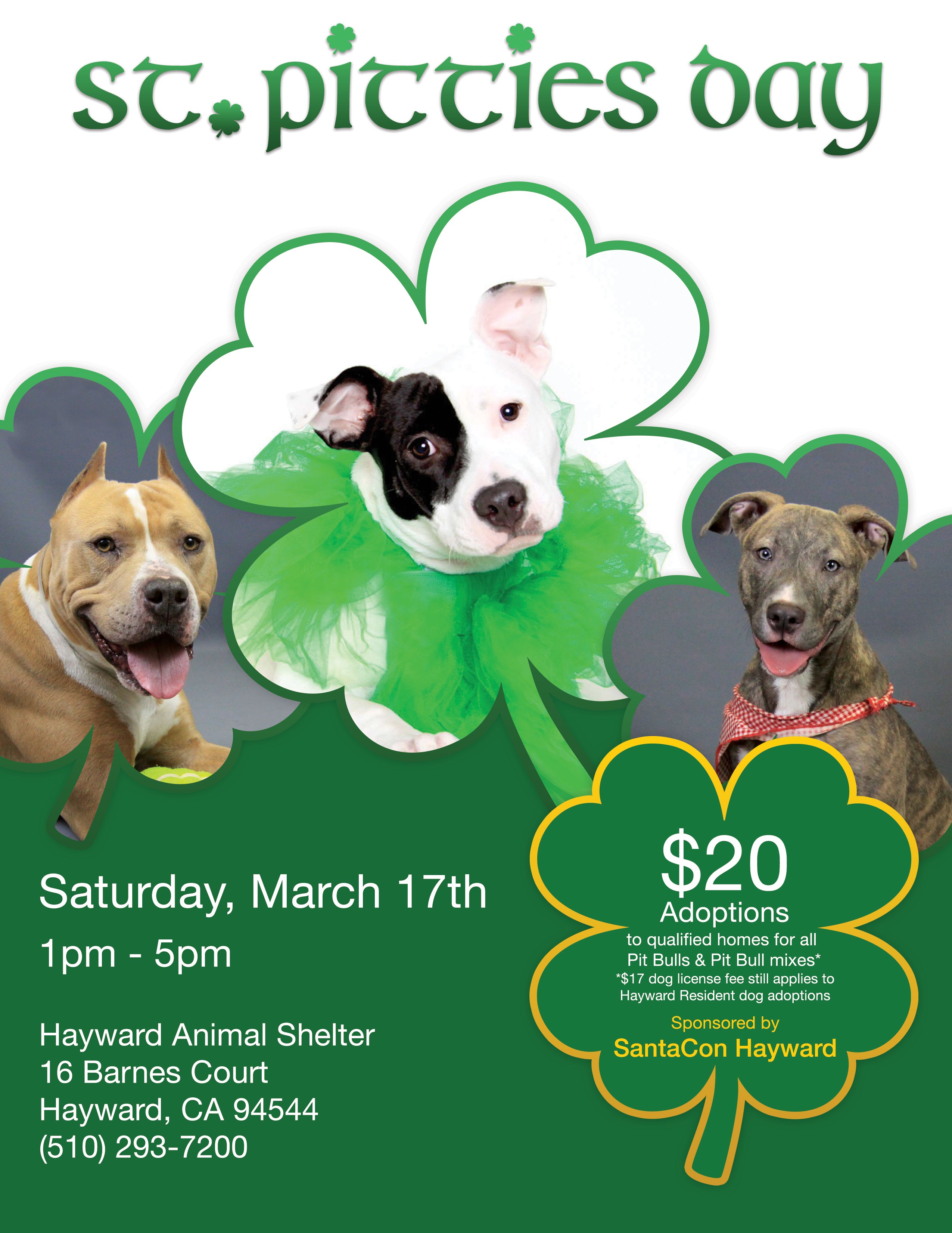 Hayward hotsell humane society