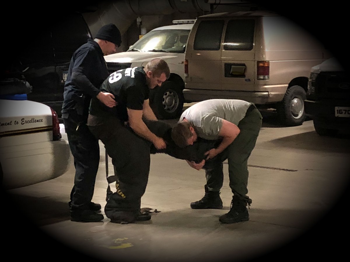 WCSO_Minnesota's tweet image. What do you do when you can't get your bite suit pants on? Enlist the help of your partners. These guys were really working - and I couldn't resist taking a photo. They were good sports-training is so much fun! #K9Training #BiteSuit #NotComfortable - RKL