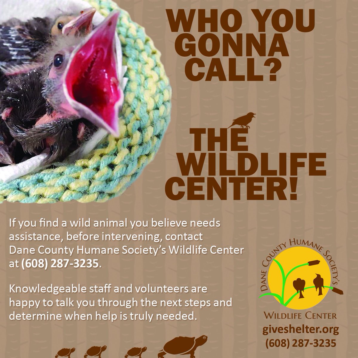 Our Wildlife Center is getting prepared for Spring! If you find a wild animal in need of assistance, contact us at (608) 287-3235 before intervening. We can help talk you through the next steps - ow.ly/Z26b30iY83v #wildliferehabilitation #wildlifecenter #wisconsinwildlife
