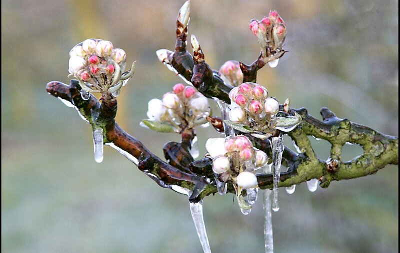 Re_Becca_B's tweet photo. There's new beginnings 
Waiting for you
In the winter of your life

So have faith in yourself 
To move forward
And bask in it's magic

#poetry #micropoetry #newbeginnings #ThursdayThoughts Photo: unknown https://t.co/SF2cBQGG9p