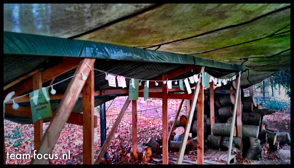 Drie dagen aan de slag met een incompany opleiding ervaringsleren. 
Team gaat zelf aan de slag met ervaringsleren binnen de organisatie.