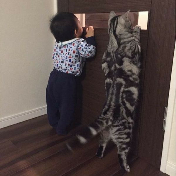 s3stores's tweet photo. 'If everyone is moving forward together, then success takes care of itself.' - Henry Ford
Make your way forward together with S3 Stores (Link in Bio)👪🐈
#buddies #lifewithcats #yourcatstoday #adorablepets #petslovers #petsupplies #petstuff #petshop #onlineshopping #discounts https://t.co/TDBCv6KTgs