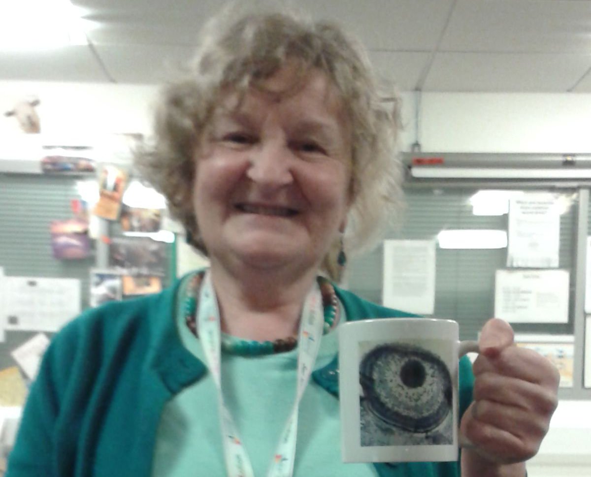 VectorLabsUS's tweet photo. Today’s featured UK runner up is Brenda Frater from @UniversityLeeds This image was created by staining the eye of a zebrafish embryo with toluidine blue &amp; mounted in #VECTASHIELD. We hope you enjoy your mug Brenda, and please check out the image here – https://t.co/Scspcs8oLf https://t.co/SRCAH5M160