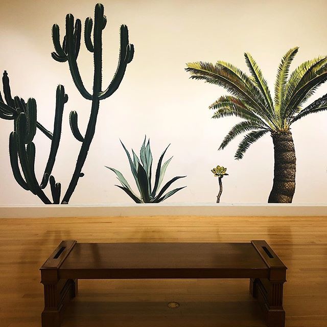 LAblocks's tweet image. If you haven't checked out @thehuntingtonlibrary in Pasadena, get on over there! Aside from perfectly groomed gardens to roam, they also have an extensive art collection to explore. Or, you could split the difference and look at pictures of plants.