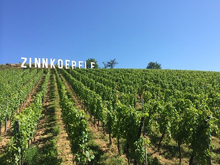 drinkAlsace's tweet photo. From A [Altenberg] to Z [Zinnkoepflé], #Alsace #grandcrus offer a range of wines of #pureExpression. https://t.co/dtZkEleHBm #drinkAlsace https://t.co/CanOPKNqVp
