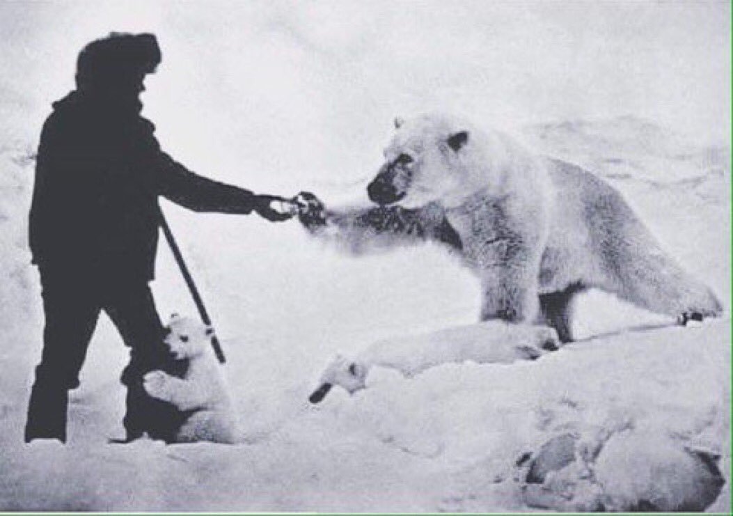 Shooting a bear doesn't make you a bad-ass. Feeding a polar bear while her cub humps your leg makes you a bad-ass.