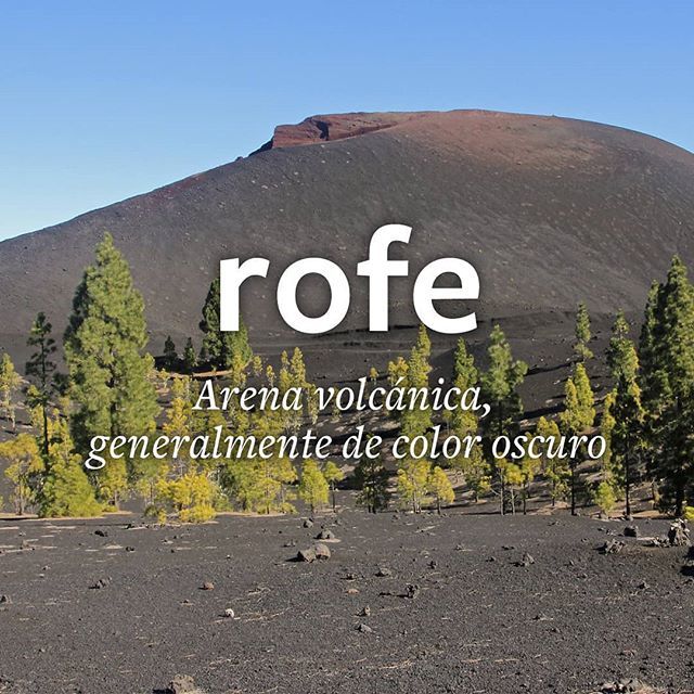 canarismos's tweet image. Bien de recuerdos de cuando en los parques el piso era de rofe. ¡Qué dolor! #rofe #picon #lapilli #canarismos ift.tt/2pjg7v4