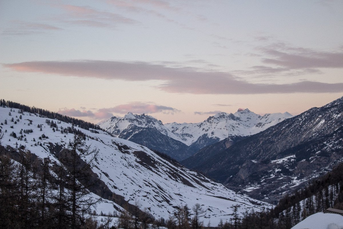 ✒ Olivia Mahieu tweet media