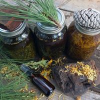 *NEW CLASS!*

Shelly Belinko of Blinking Owl Acres will be visiting the Two Hives Honey classroom to teach us all about how to create a nurturing and holistic beauty routine!

Space is limited... buff.ly/2Fow0eK