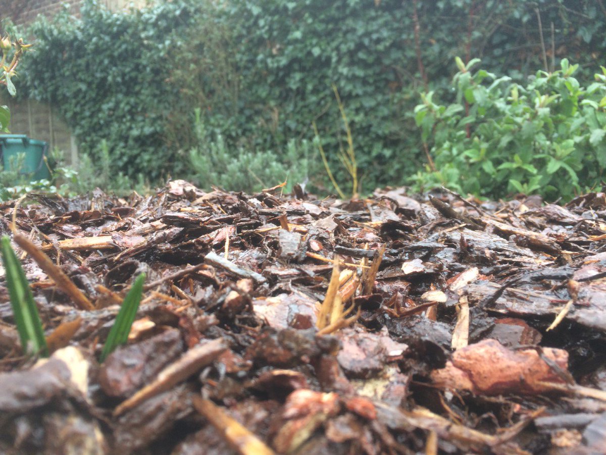 RedRoseServices's tweet image. Newly laid bark always brings out the best out in any garden