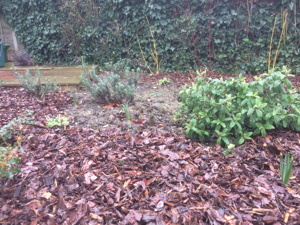 RedRoseServices's tweet image. Newly laid bark always brings out the best out in any garden