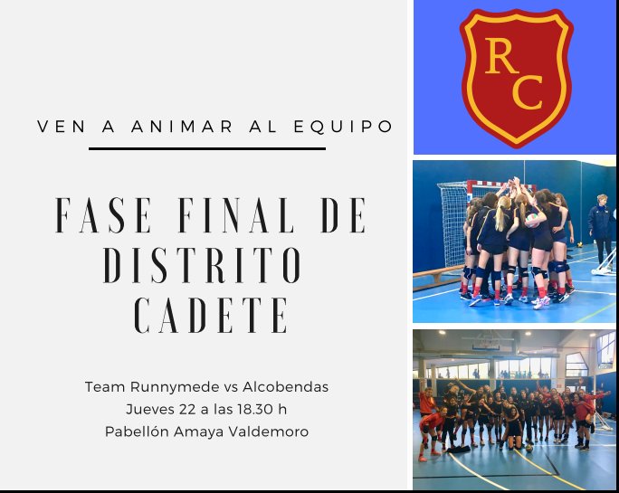 paulatirini's tweet photo. Que gran año están haciendo las cadetes, las vienes a animar en la final? @psi_alicia @Team_Runnymede #Haycantera #GoRunny 🏐🏐 https://t.co/H2qU7fk9Kp