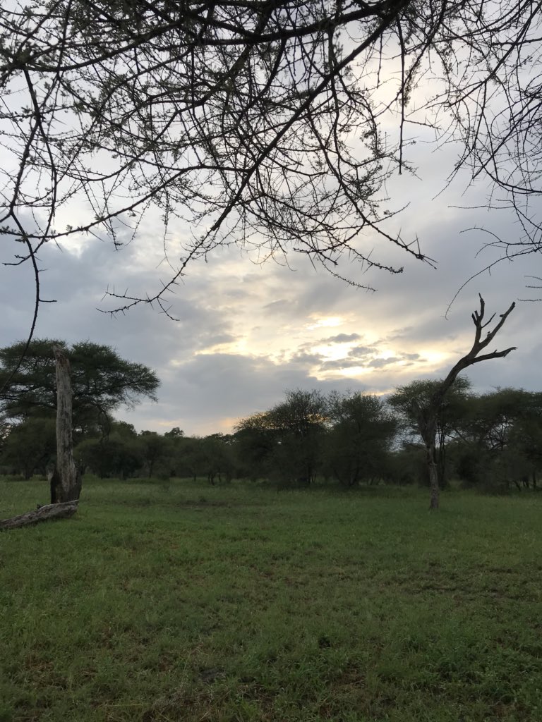 kate_fearheiley's tweet photo. Spent the night in Tarangire National Park 🐘🐘🐘 #happycampers https://t.co/7VfWSXmn6W