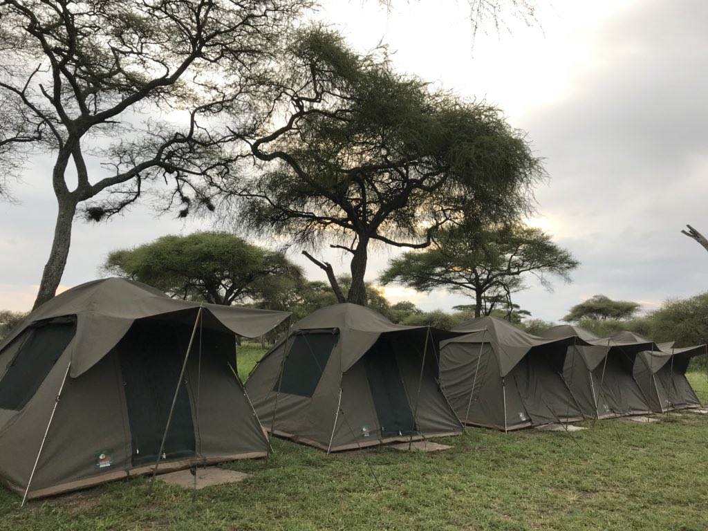 kate_fearheiley's tweet photo. Spent the night in Tarangire National Park 🐘🐘🐘 #happycampers https://t.co/7VfWSXmn6W