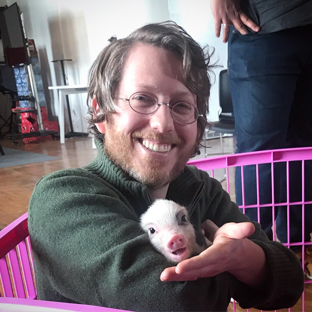 DanBrauer's tweet photo. just another day at the office at @Meetup hq...

piggies courtesy of @nyteacuppiggies and @exubrancy. 

#🐷 #teacuppig #hardatwork #werehiring https://t.co/64Ctooc2c4