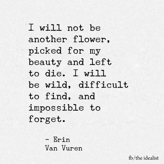 KiberMoon's tweet image. 