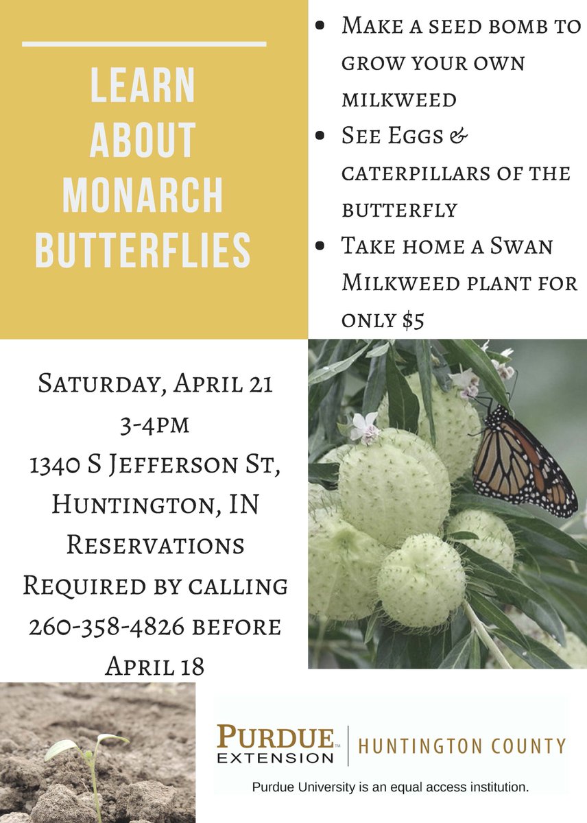 The Monarch butterflies are migrating north!  Are you ready?