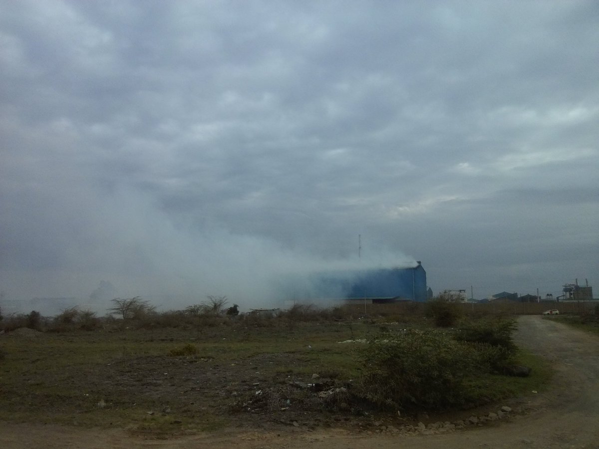 Nature Protect tweet media