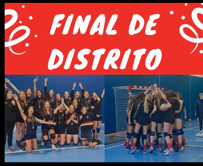 paulatirini's tweet photo. Jueves 22 a las 18.30h en el pabellón Amaya Valdemoro.
El equipo cadete de @psi_alicia quiere ganar otra medalla. @Team_Runnymede #GoRunny #HayCantera 🏐🏐 https://t.co/b6rGaqDWNj