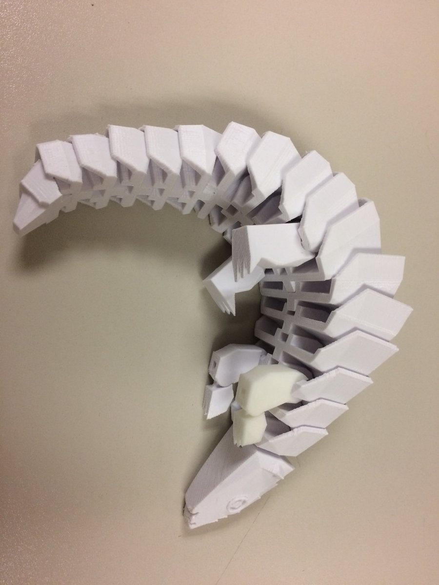 lockenesstiger's tweet photo. Found this tweet in my drafts from last semester: One of my students 3D printed a pangolin this week. What is a pangolin? #savethepangolins https://t.co/gXP4hKiHcU