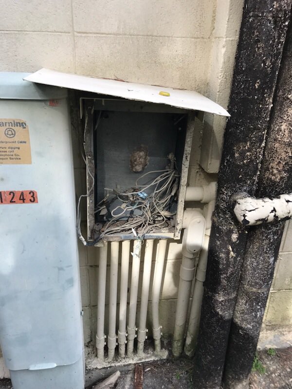 CHIRP The Edward Gay Apts (LSUpartsunknown) Twitter