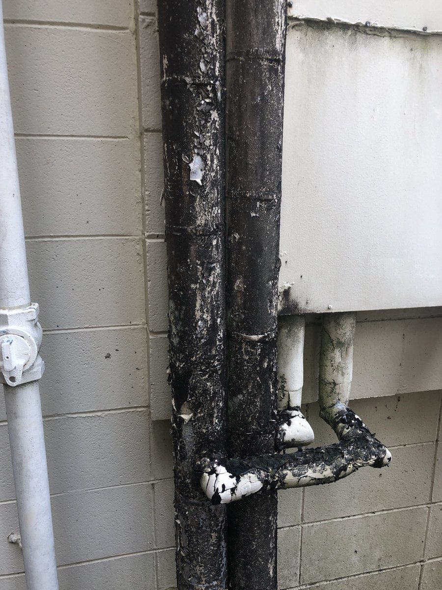 CHIRP The Edward Gay Apts (LSUpartsunknown) Twitter