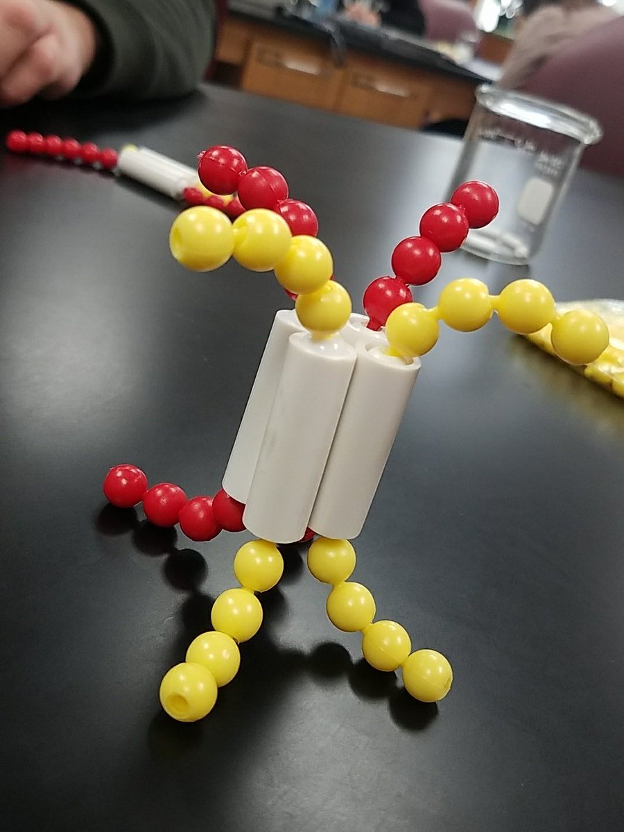 HansonBioLab's tweet photo. Am I doing this right? @UNKBiol106CW #willicottweek10S18 https://t.co/ESqKv7TGlj