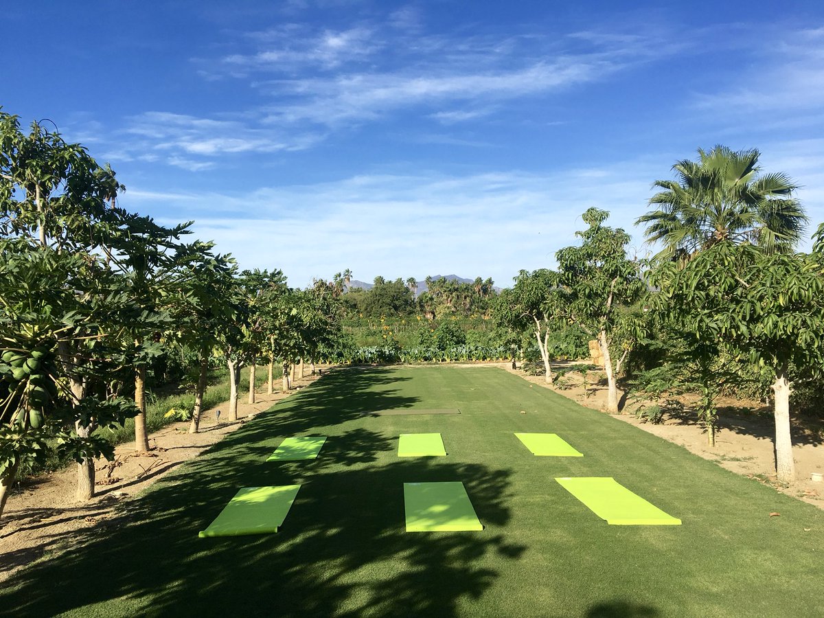 Flora_Farms's tweet photo. We are excited to offer our *FIRST* monthly #SunsetYoga class in the Mango Grove with live music! Nothing is more rejuvenating than outdoor yoga while the sun sets with gorgeous views of our organic gardens #florafarms #yoga #cabo https://t.co/N5u2hQ1c8T
