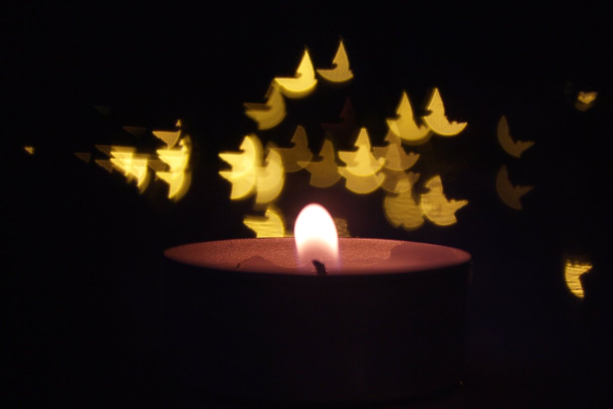 《Fotoğraf: Zeynep Akça 》
•Fotoğraflarınıza instagram üzerinden bizi (@yufokofficial) etiketleyin, siz de sayfamızda yer alma şansını elde edin 😉 📷