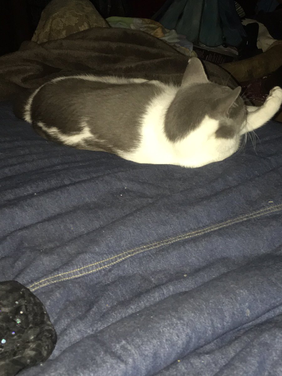 bad nana tweet media