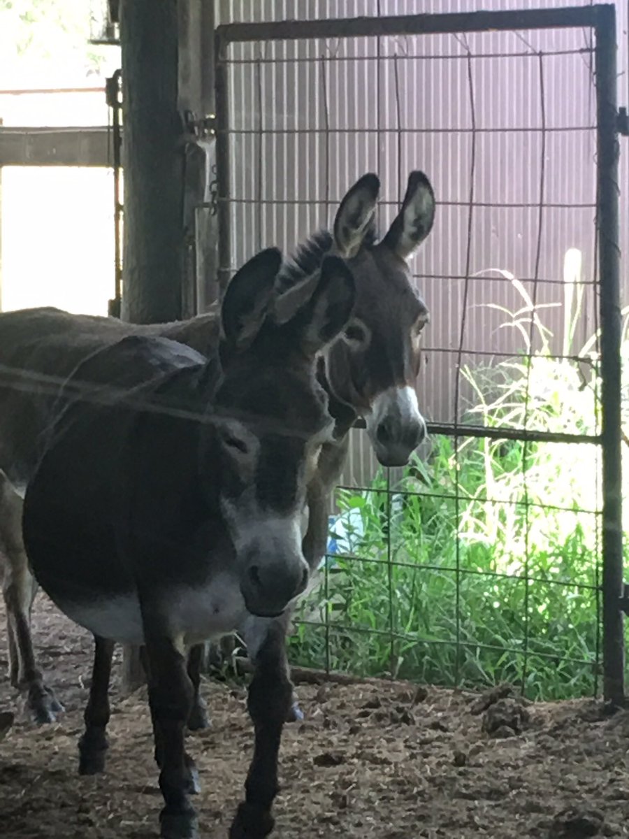 bad nana tweet media