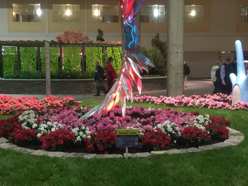 gagasgarden's tweet photo. Azaleas shipped in by @SouthwestAir fill the @CSESculpture #sculpture garden with color. Folks ask “What kind of rose are these?” @ChicagoFlower Love #azaleas check out @JacksonPerkins #jacksonandperkins #jprose https://t.co/wOJ0McsAvG