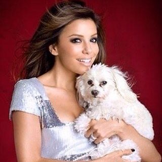 Hoy es el cumpleaños de la perruna actriz Eva Longoria.
Happy birthday !   