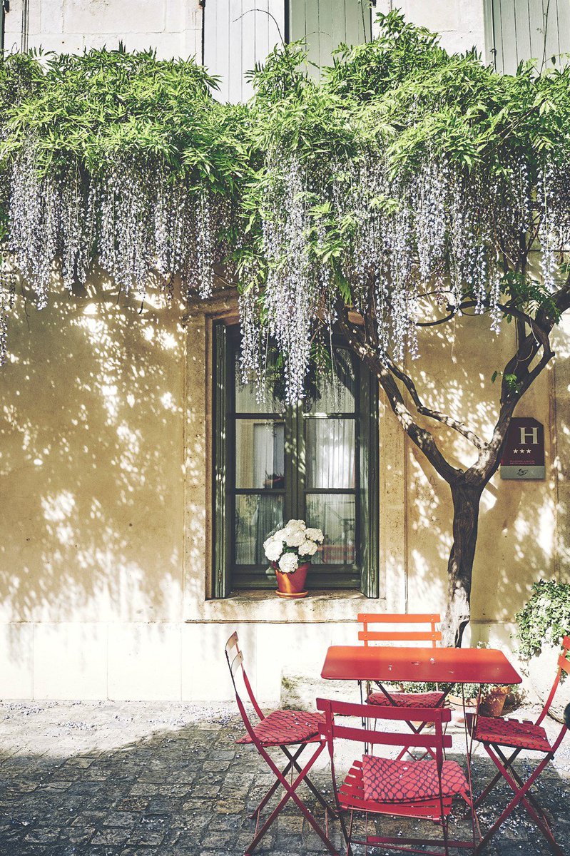 BonAppetitBox's tweet image. Spring is (finally) in the air 🌺
We'll spend the day in #Camargue enjoying the cool breeze under the shades of this mesmerizing #wisteria!
What are your plans to celebrate the first day of #spring?
