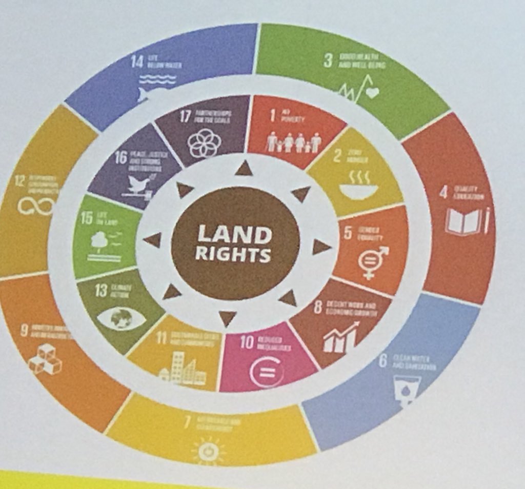 Global Youth Biodiversity Network (GYBN) tweet media