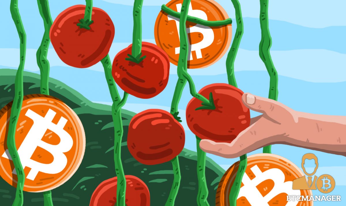 cryptodotnews's tweet photo. #Bitcoin Pioneer Harnessing Excess Mining Heat to Produce Cash Crops BY: George Agbugba
https://t.co/uhTIfIu2Vb
#Bitcoin_Energry_Consumption_Index #Bitcoin_News #Cryptomatoes #Fintech #Minning #Technology https://t.co/EJHIVdsD1Z