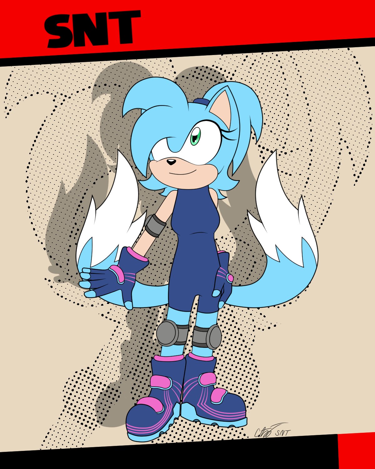 snt the hedgehog.
