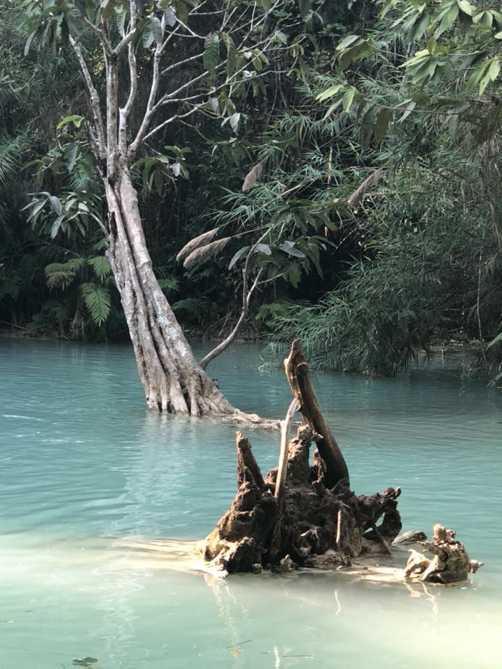 InvestMaverick's tweet photo. Don't go chasing waterfalls...unless you're in Laos.🌊🏞 🌅 

#Laos #LuangPrabang #KuangSiFalls https://t.co/08SGDr6int